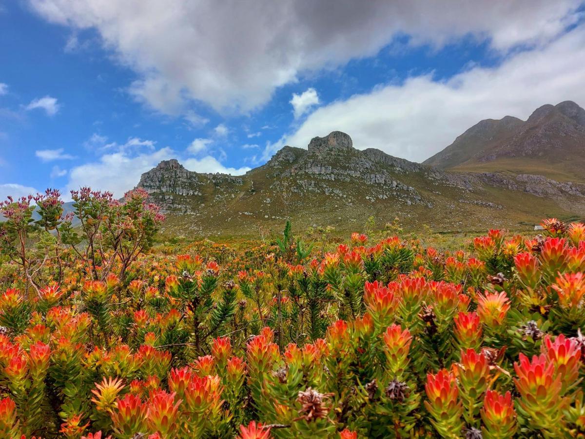 La Mer Seafront Selfcatering Accommodation Kleinmond Exteriör bild