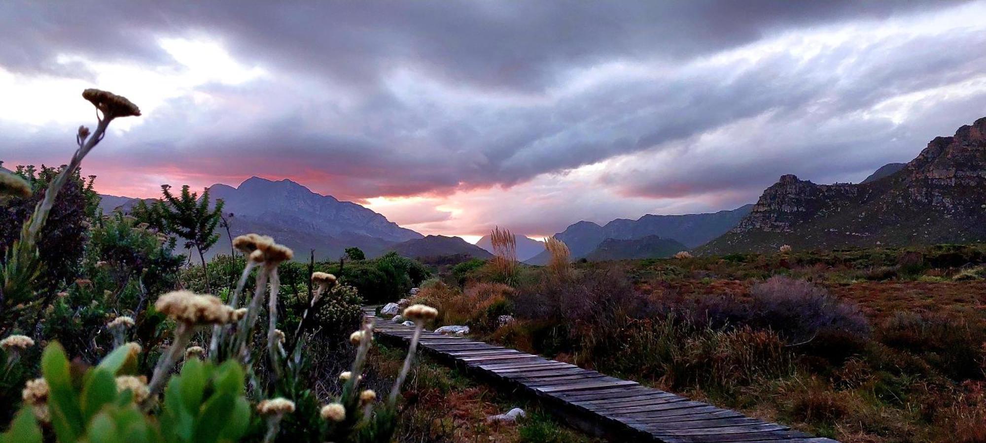 La Mer Seafront Selfcatering Accommodation Kleinmond Exteriör bild