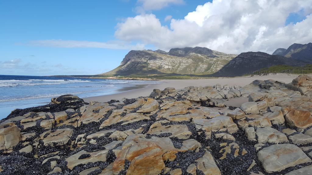 La Mer Seafront Selfcatering Accommodation Kleinmond Exteriör bild