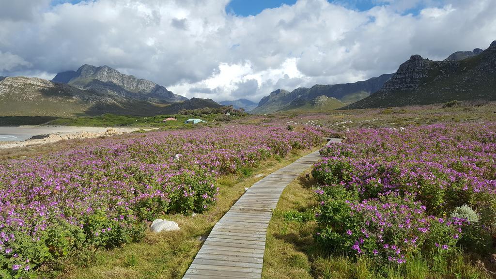 La Mer Seafront Selfcatering Accommodation Kleinmond Exteriör bild