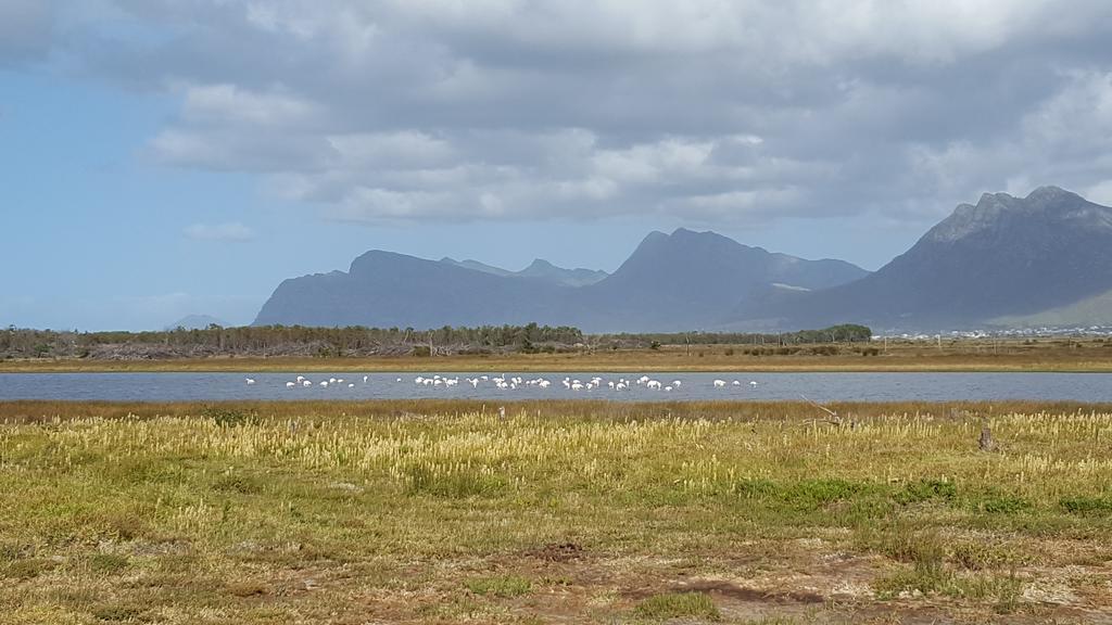 La Mer Seafront Selfcatering Accommodation Kleinmond Exteriör bild